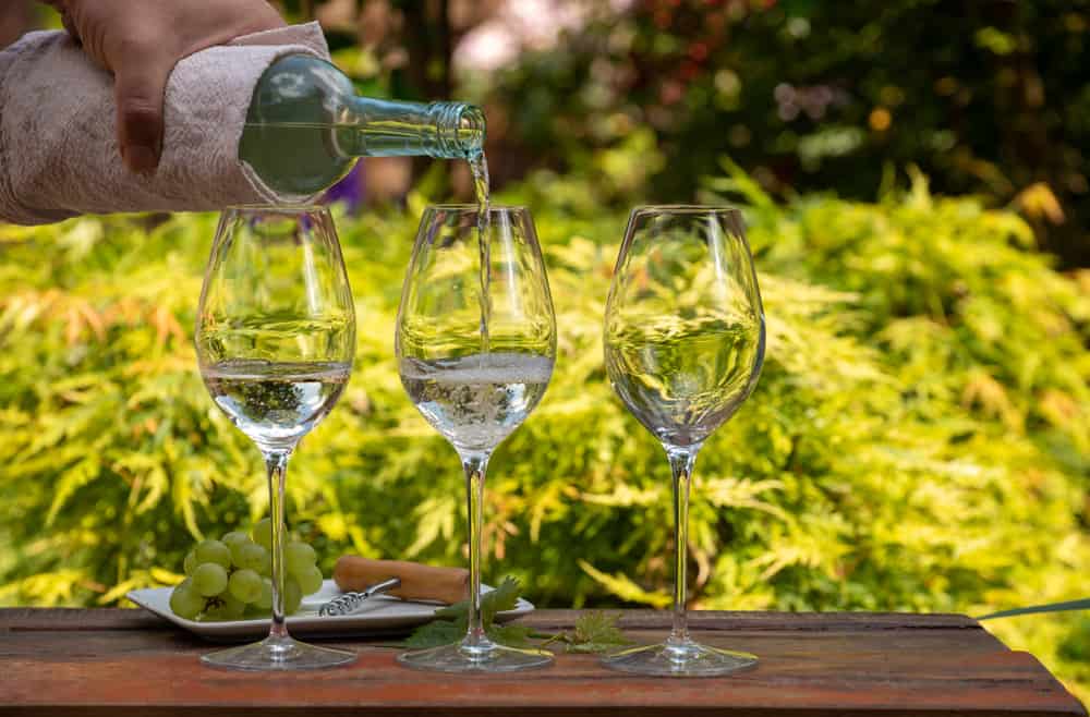Ophældning af Riesling hvidvin i tre hvidvinsglas, som står på et træbord. Vindruer, proptrækker og beplantning i baggrunden.