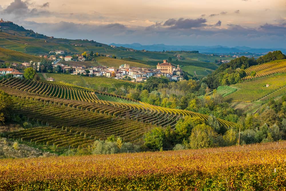 View over vinmarker i Piedmont i Italien.