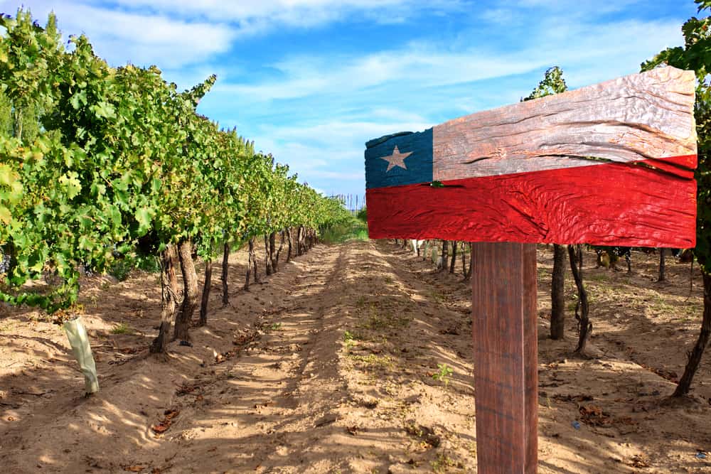 Træskilt påmalet Chiles flag og vinmark i baggrunden.